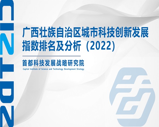 草妹子b网站【成果发布】广西壮族自治区城市科技创新发展指数排名及分析（2022）